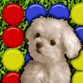 Cute Puppy match 3 game